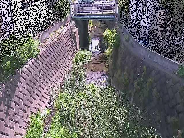 大津橋付近のカメラ画像
