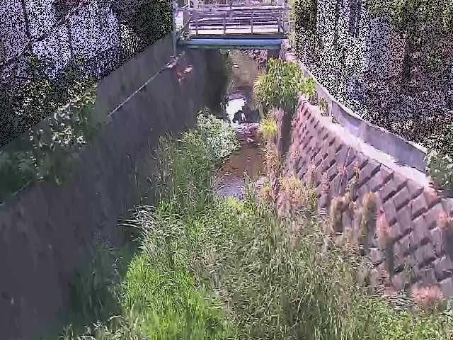 大津橋付近のカメラ画像