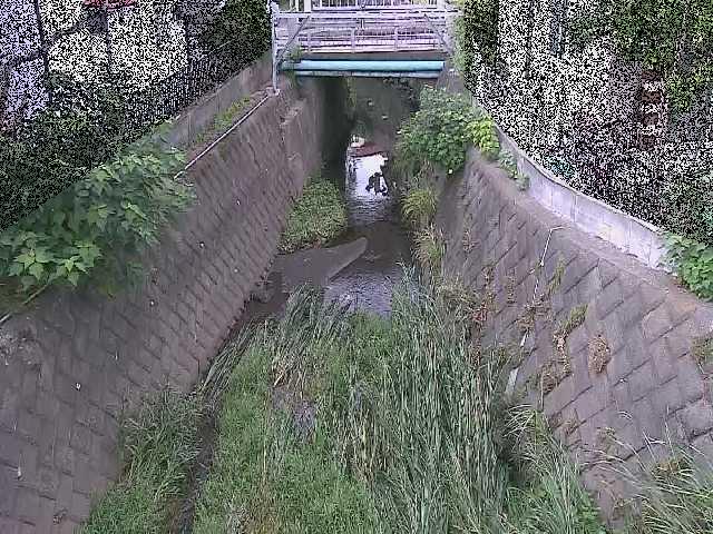 大津橋付近のカメラ画像