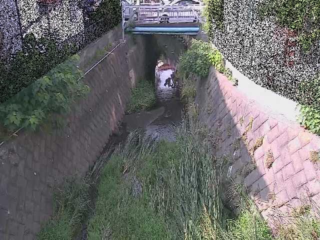 大津橋付近のカメラ画像