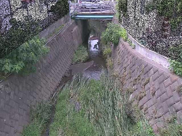 大津橋付近のカメラ画像