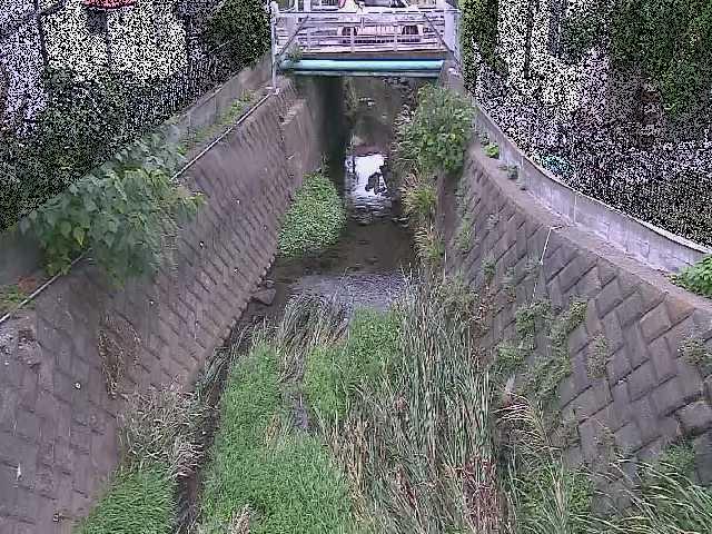 大津橋付近のカメラ画像