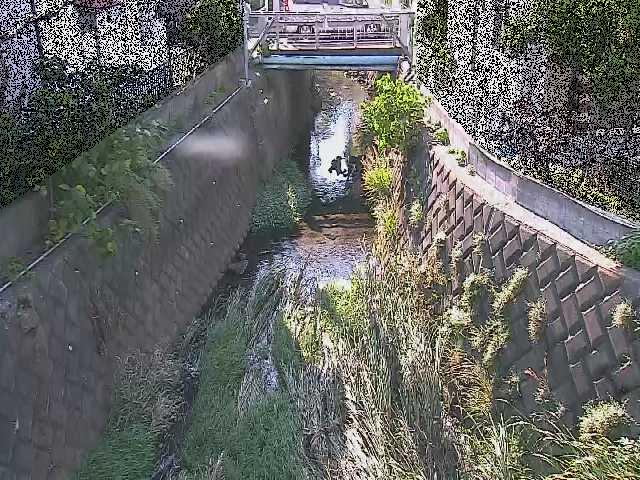 大津橋付近のカメラ画像