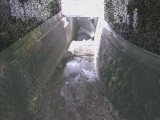 大津橋付近のカメラ画像