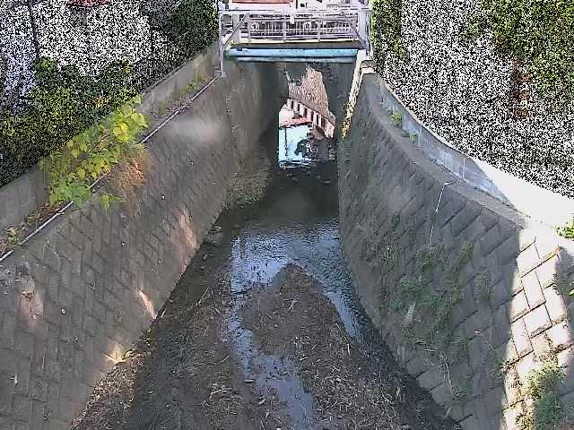 大津橋付近のカメラ画像