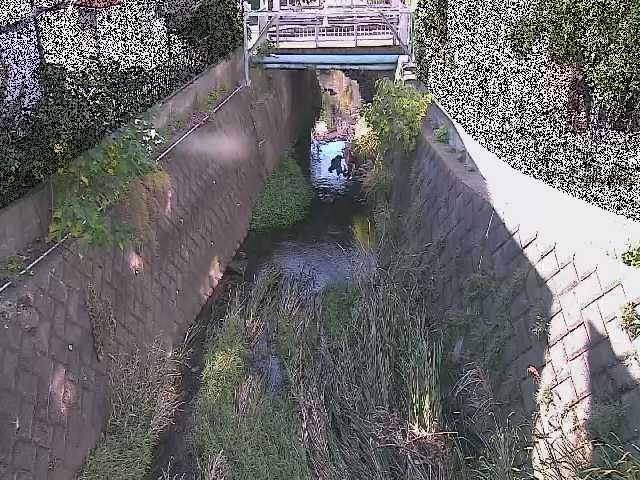 大津橋付近のカメラ画像