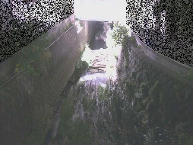 大津橋付近のカメラ画像