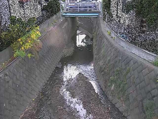 大津橋付近のカメラ画像