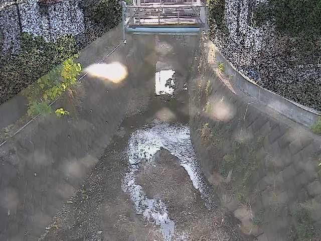 大津橋付近のカメラ画像