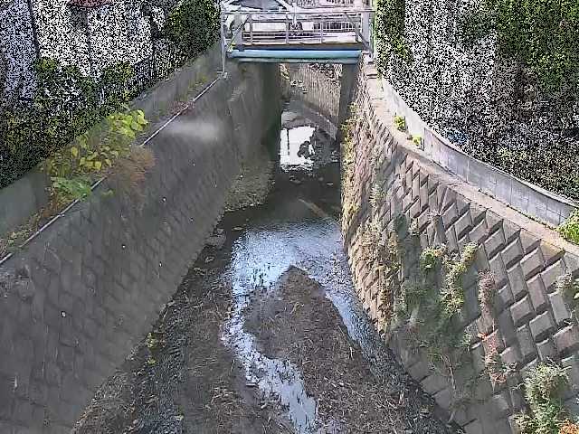 大津橋付近のカメラ画像