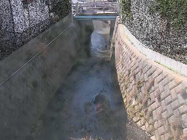 大津橋付近のカメラ画像