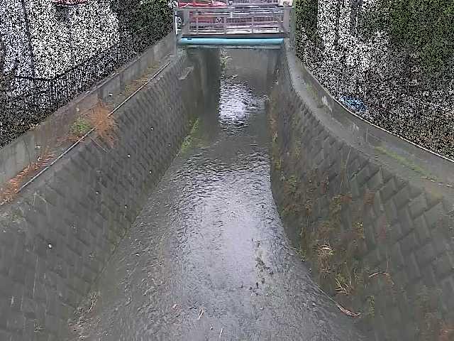 大津橋付近のカメラ画像