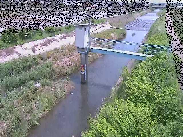 玉川 玉川橋付近のカメラ画像