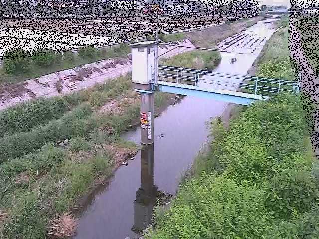 玉川橋付近のカメラ画像