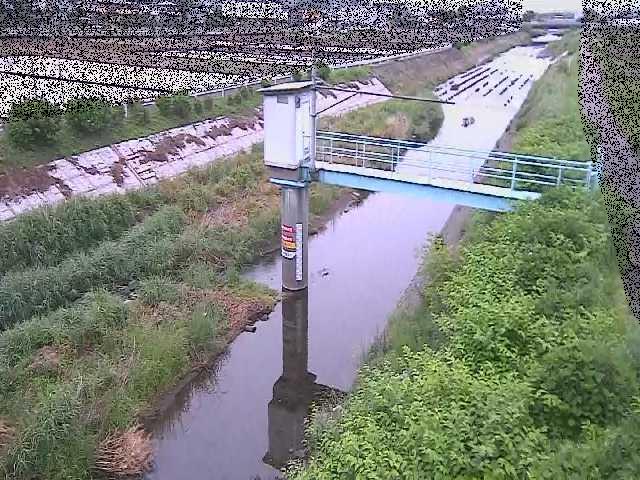 玉川橋付近のカメラ画像
