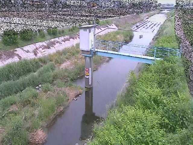 玉川橋付近のカメラ画像