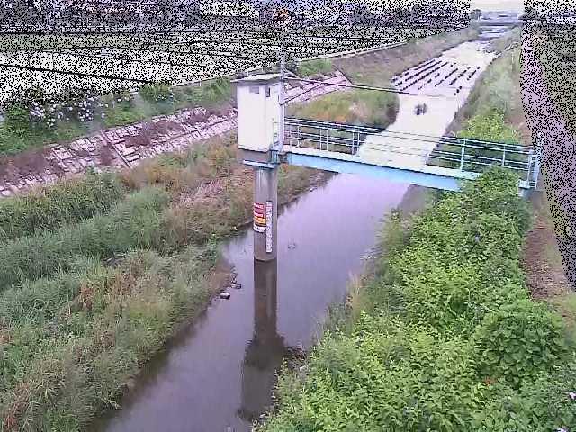 玉川橋付近のカメラ画像