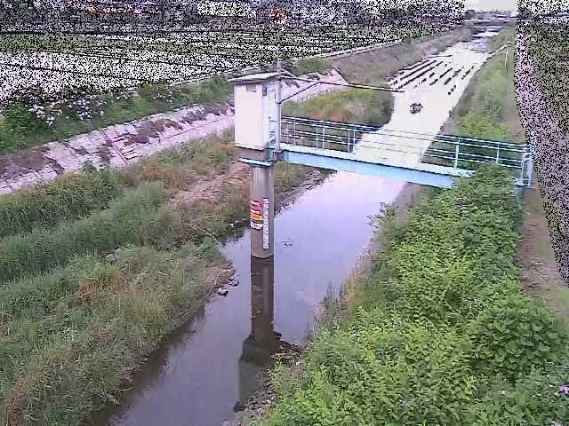 玉川 玉川橋付近のカメラ画像