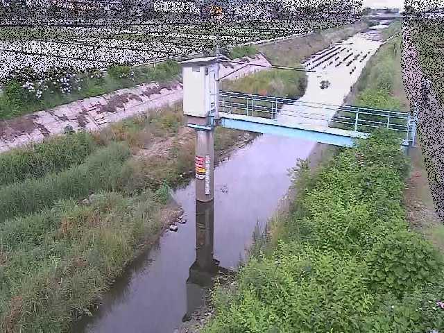 玉川橋付近のカメラ画像