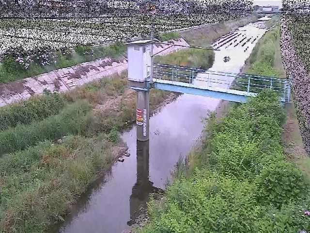 玉川橋付近のカメラ画像