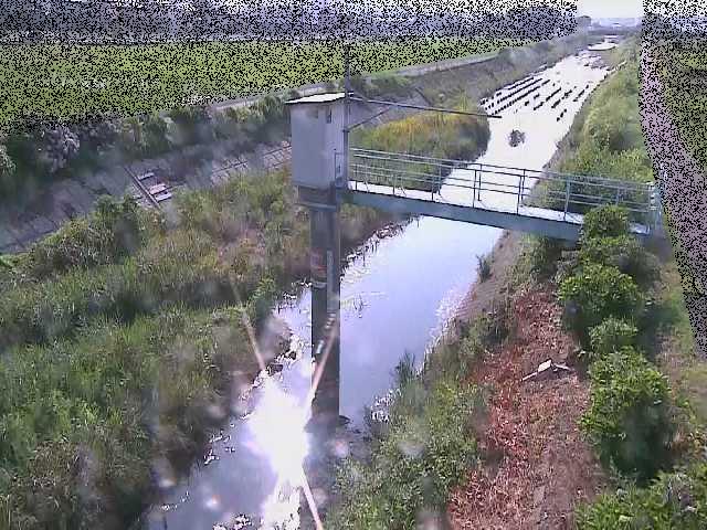 玉川橋付近のカメラ画像