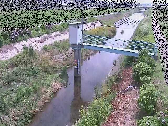玉川 玉川橋付近のカメラ画像