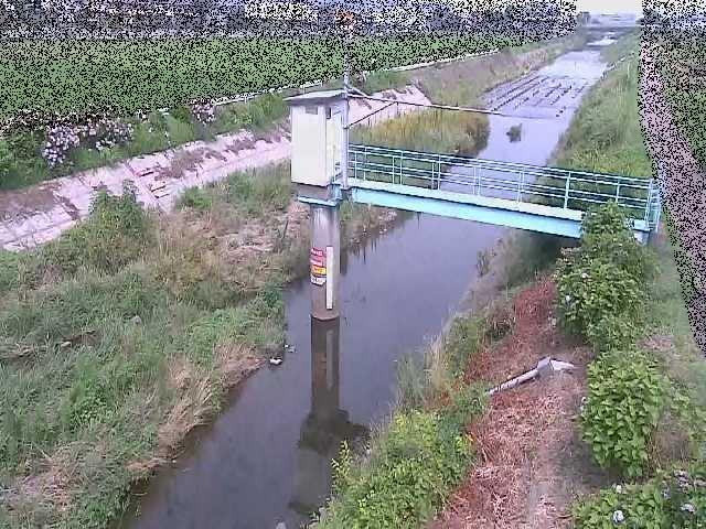 玉川橋付近のカメラ画像