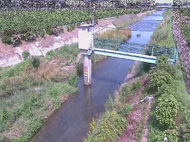 玉川 玉川橋付近のカメラ画像