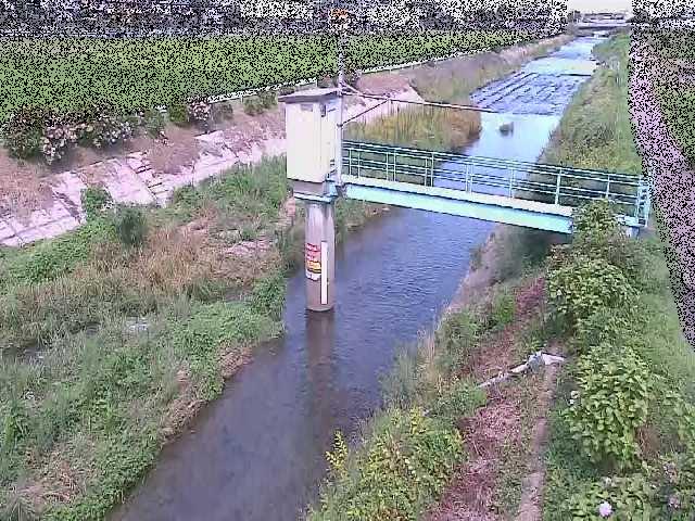 玉川橋付近のカメラ画像
