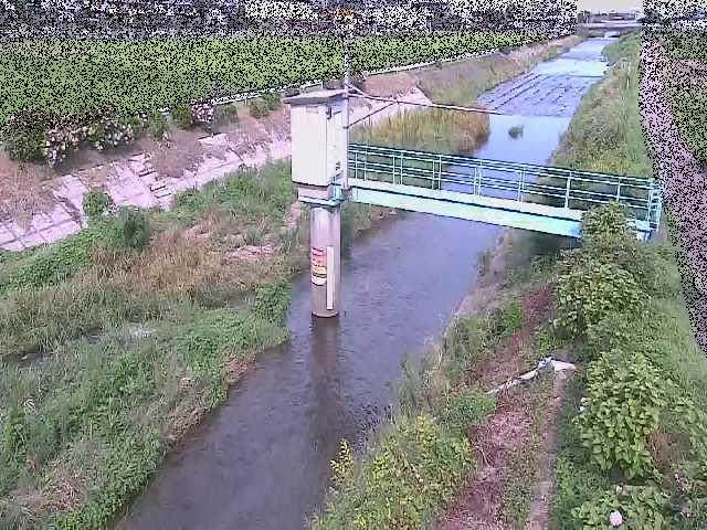玉川橋付近のカメラ画像