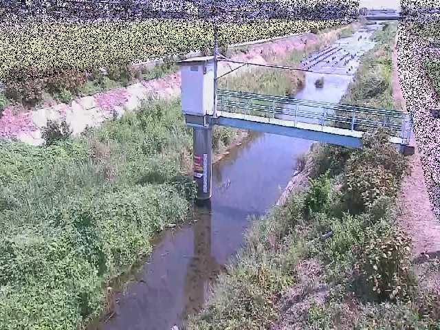 玉川 玉川橋付近のカメラ画像