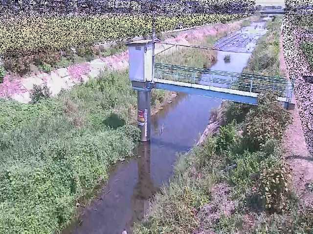 玉川橋付近のカメラ画像