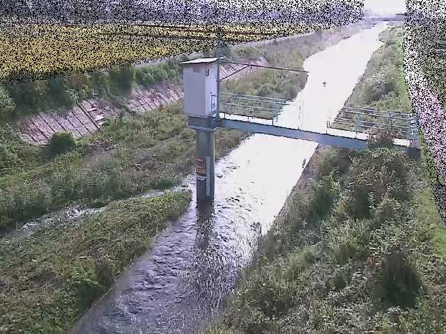玉川 玉川橋付近のカメラ画像