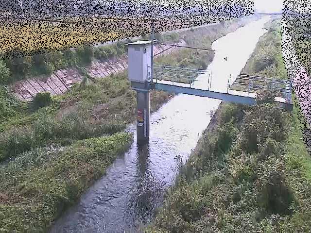 玉川橋付近のカメラ画像