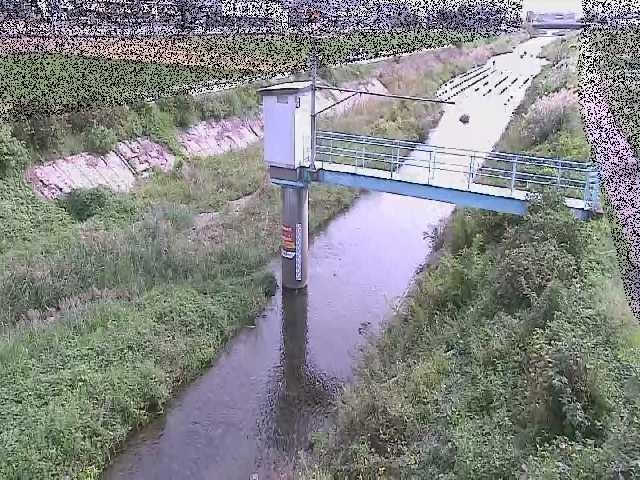 玉川 玉川橋付近のカメラ画像