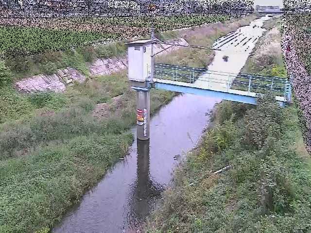 玉川 玉川橋付近のカメラ画像