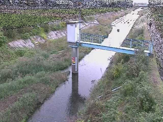 玉川 玉川橋付近のカメラ画像