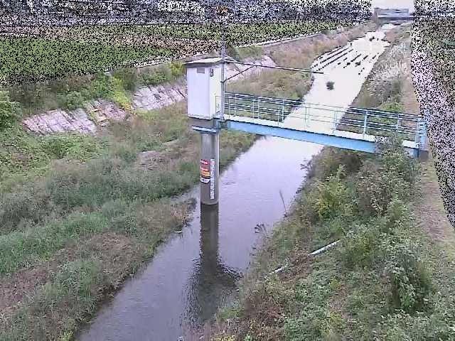 玉川 玉川橋付近のカメラ画像