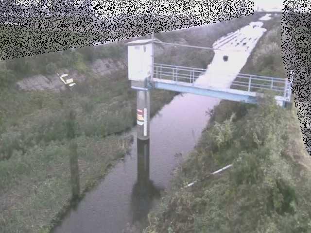 玉川橋付近のカメラ画像