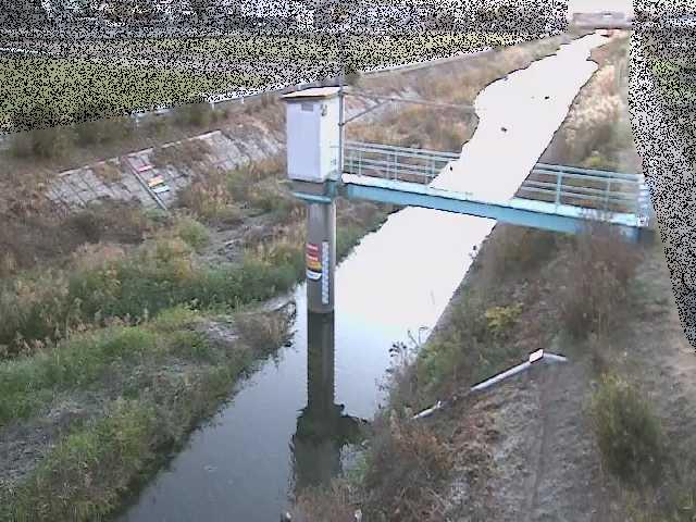 玉川 玉川橋付近のカメラ画像