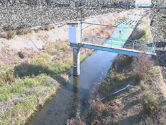 玉川橋付近のカメラ画像