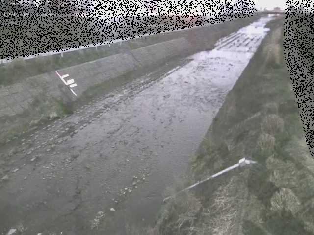 玉川橋付近のカメラ画像