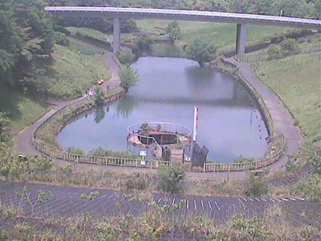 細田川 森の里付近のカメラ画像