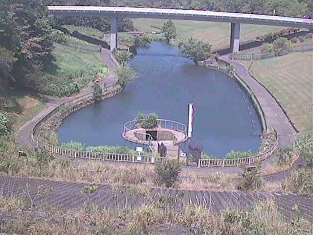 細田川 森の里付近のカメラ画像