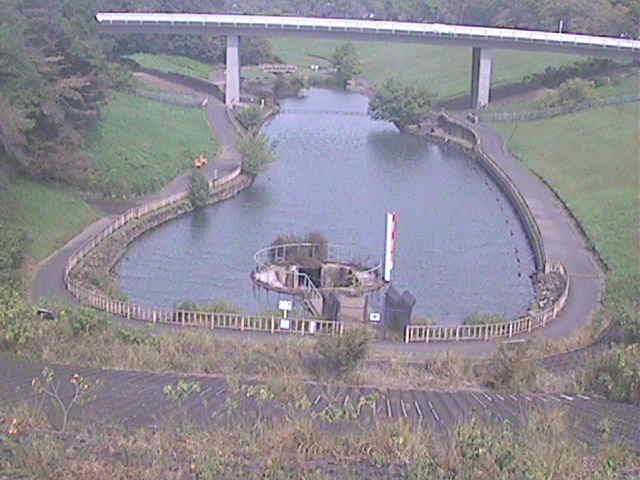 細田川 森の里付近のカメラ画像