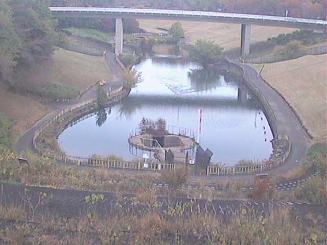 細田川 森の里付近のカメラ画像