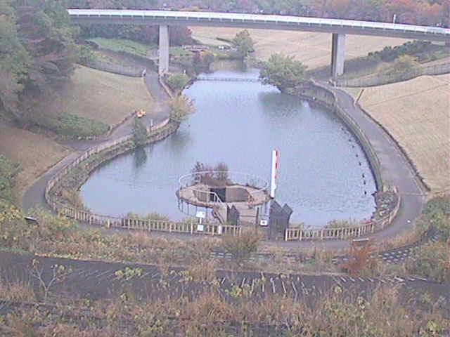 細田川 森の里付近のカメラ画像