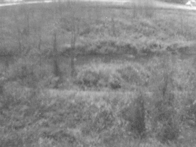 平山橋付近のカメラ画像