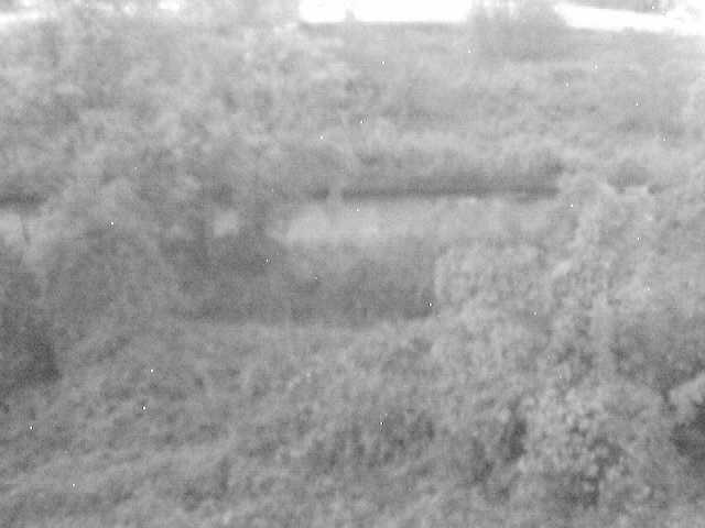 平山橋付近のカメラ画像