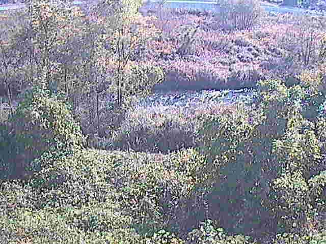 平山橋付近のカメラ画像